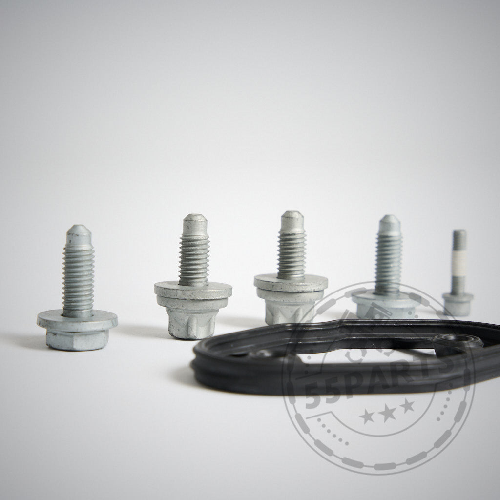 Sechs Metallschrauben und eine schwarze Gummidichtung aus dem 55Parts Einbauset Schraubenset B58 TU / Dorch Hochdruckpumpe passend für BMW 1er F2x, 2er F2x, 3er F3x, 4er F3x B58, angeordnet auf einer hellen Oberfläche mit einem dezenten 55Parts Logo-Wasserzeichen.