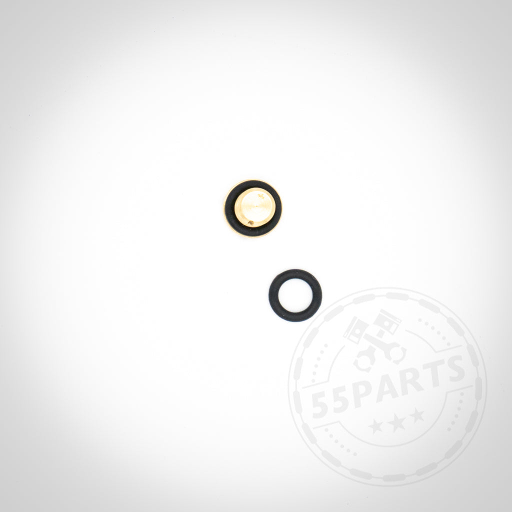 Zwei kleine runde Entlüftungsschraube Kühlflüssigkeit aus Metall, eine schwarze und eine goldene, auf weißem Hintergrund mit einem dezenten 55Parts-Wasserzeichen. Passend für alle BMW Modelle.